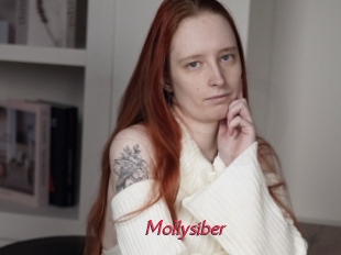 Mollysiber