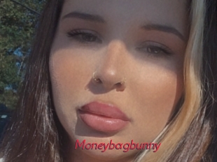 Moneybagbunny