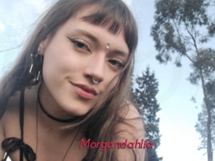 Morgandahlia