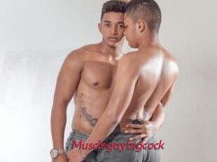 Musclegaybigcock