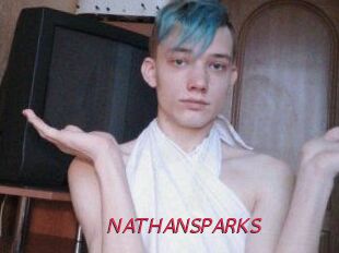 NATHAN_SPARKS