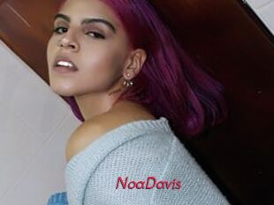NoaDavis