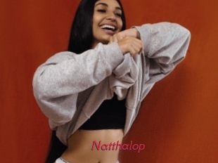 Natthalop