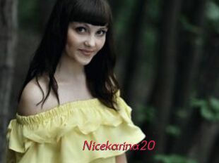 Nicekarina20