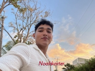 Noahkarter