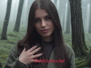 Odelinabucher