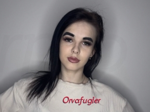 Orvafugler