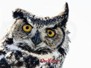 Owlface