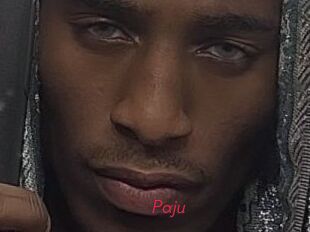 Paju