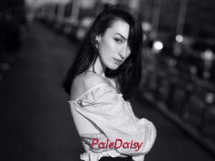 PaleDaisy
