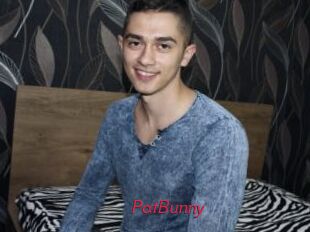 PatBunny