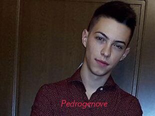 Pedrogenove