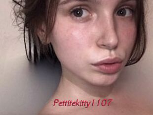 Pettitekitty1107