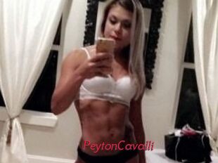 Peyton_Cavalli