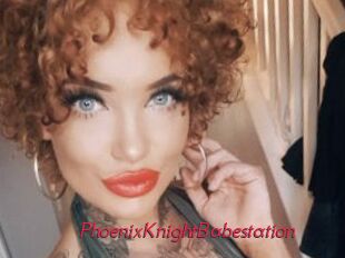 PhoenixKnightBabestation