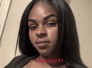 Pinkkitty691