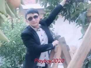 Playboy2020