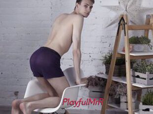 PlayfulMrR