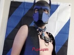 PupLupin