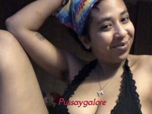Pussaygalore