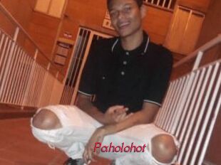 Paholohot