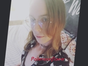 Palemoonflower