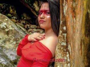 Pamelacruzain
