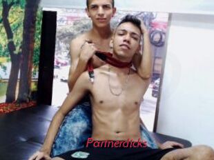 Partnerdicks