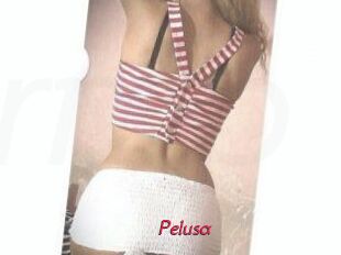Pelusa