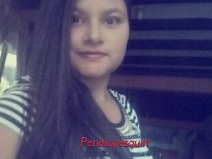 Penelopesquirt