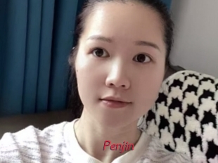 Penjin