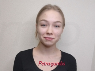 Petragumbs