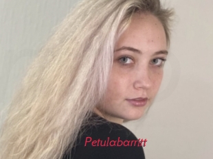 Petulabarritt