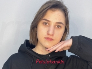 Petulahankin