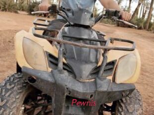 Pewnis