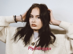Phyllisboggus