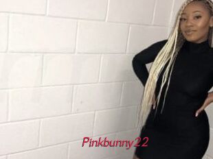 Pinkbunny22