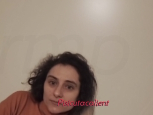 Pisicutacalient