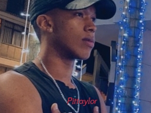 pittaylor Red Movie Post