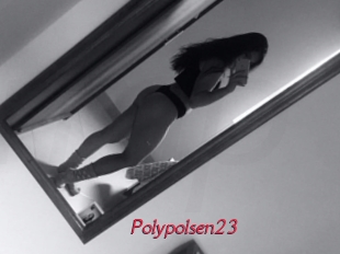 Polypolsen23
