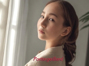 Portiagaillard