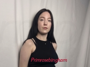 Primrosebingham