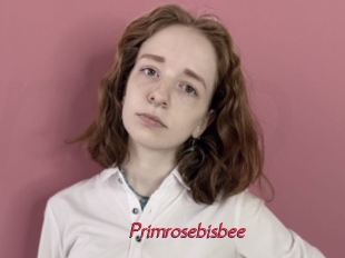 Primrosebisbee
