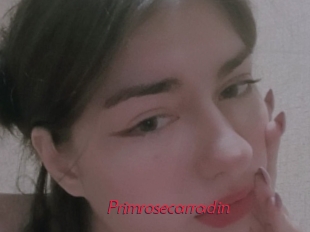 Primrosecarradin
