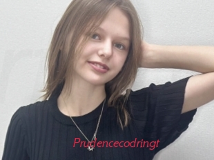 Prudencecodringt