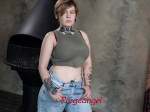 Purgeangel