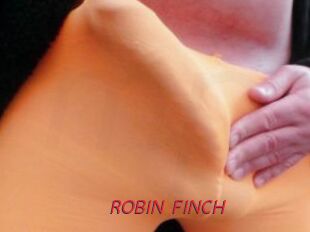 ROBIN_FINCH