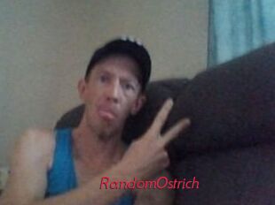 RandomOstrich