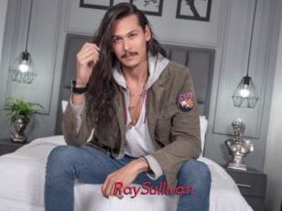 RaySullivan