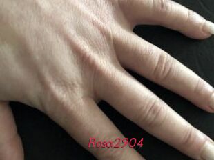 Rosa2904